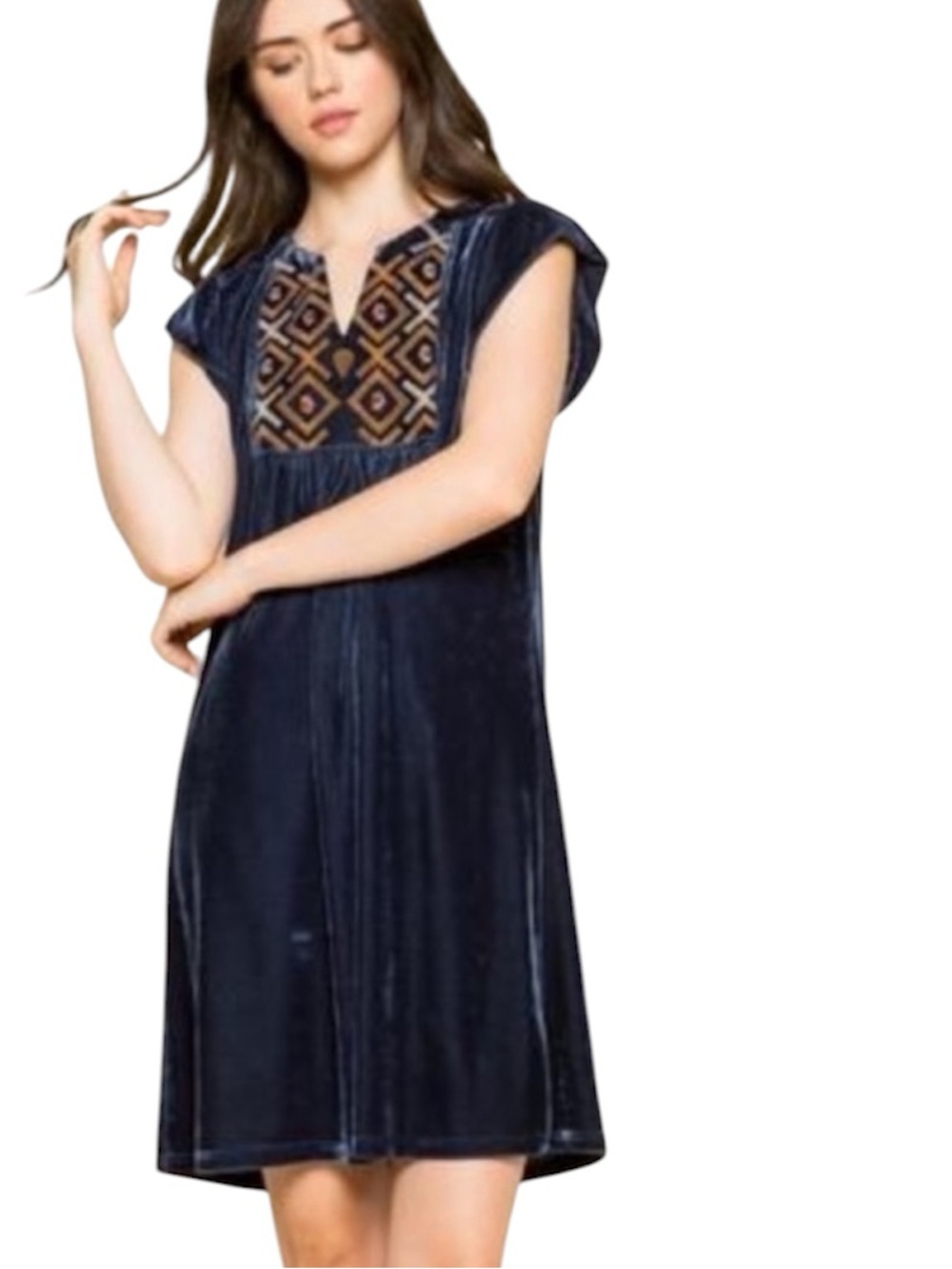 THML Velvet Embroidered Dress